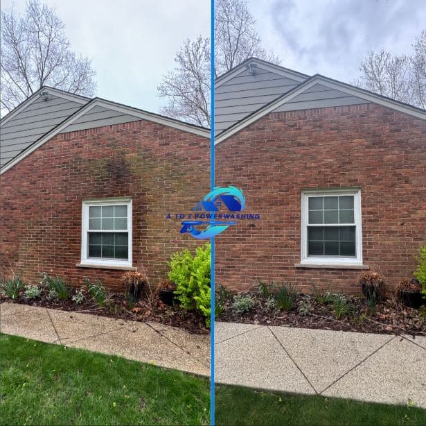 Before and after soft wash of red brick with heavy algae